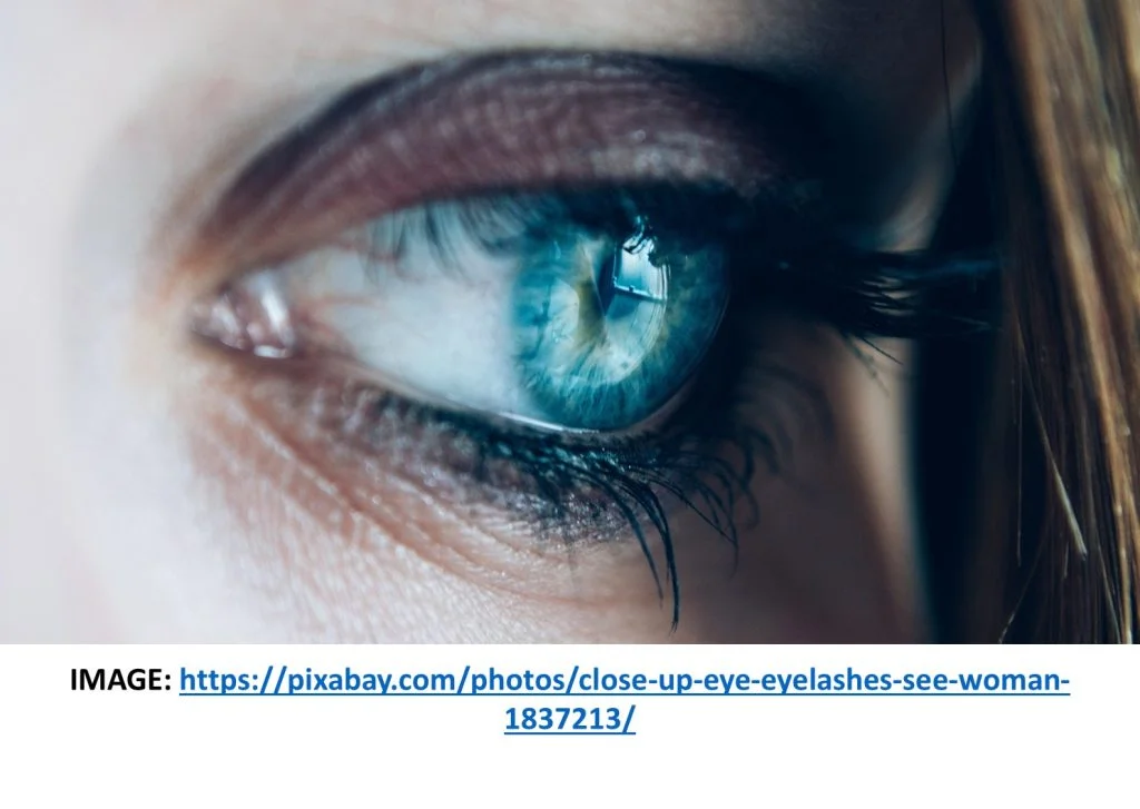 eye