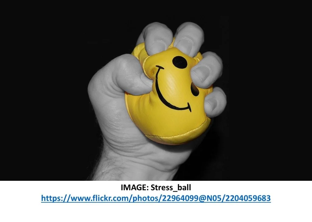 Slide5-1024x727 (1) (1)
