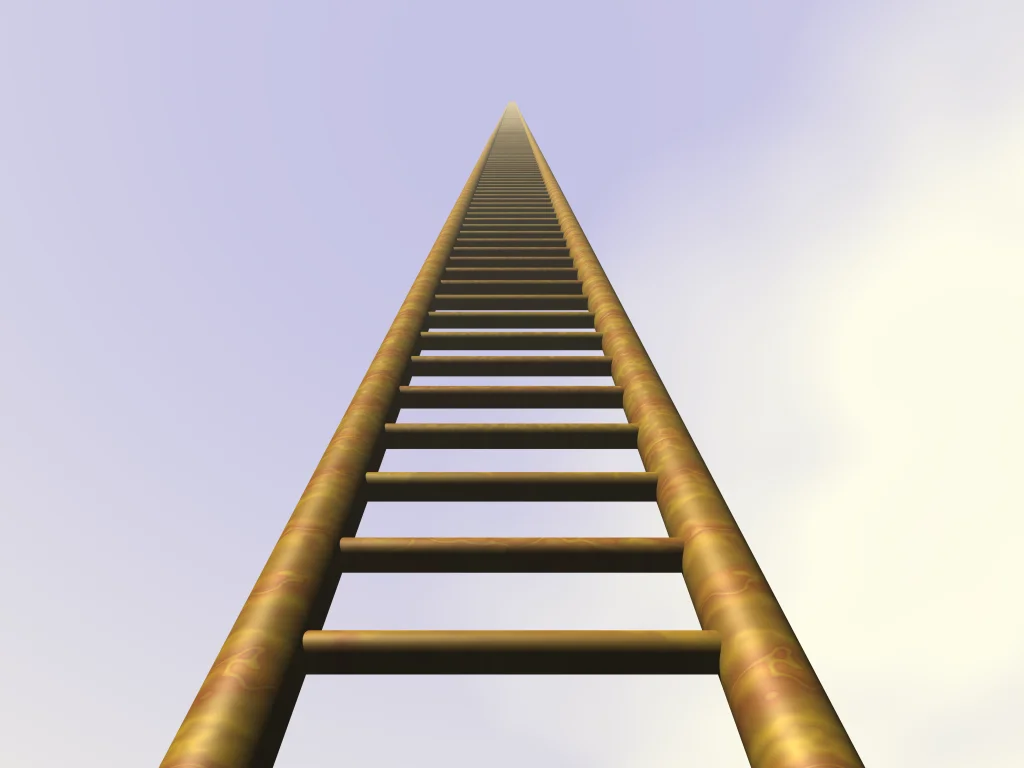 ladder